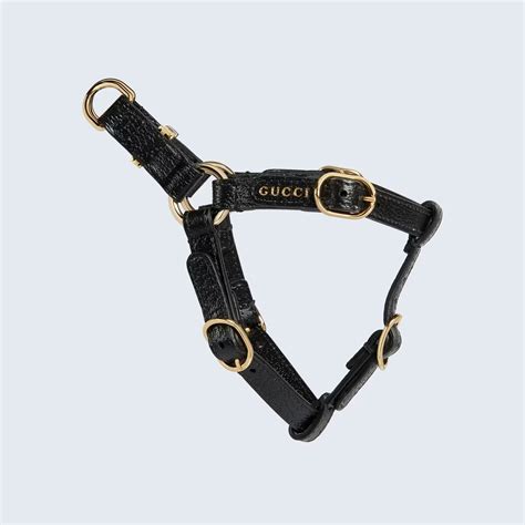 designer Gucci cat collars